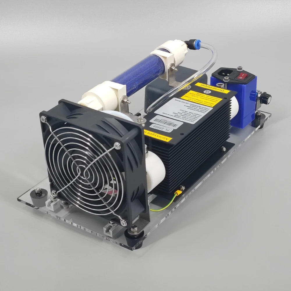 Adjustable simple ozone Fish pond disinfection machine 10g/h ozone air water treatment purifier